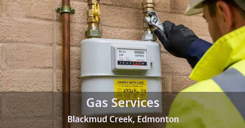 Gas Services Blackmud Creek, Edmonton - AB