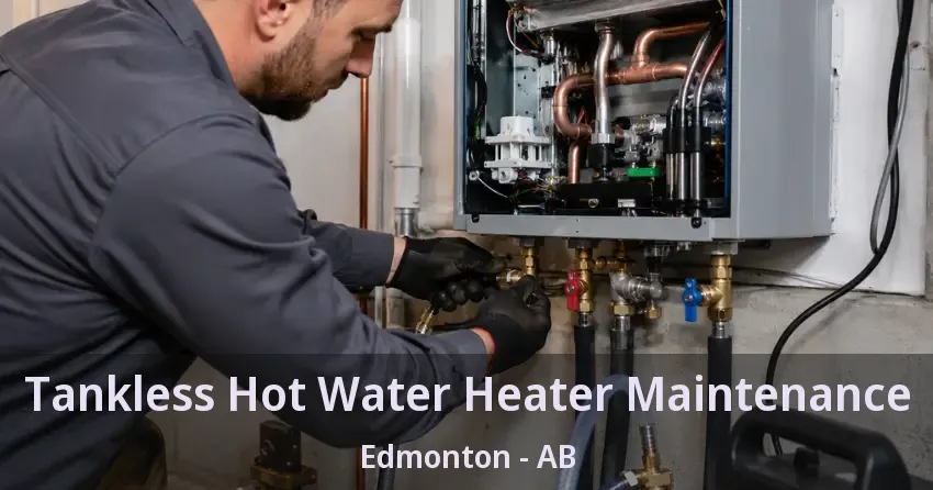 Tankless Hot Water Heater Maintenance Edmonton - AB