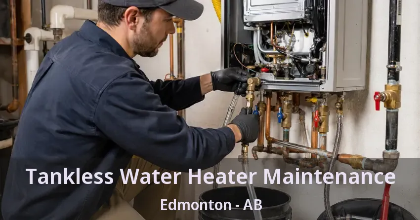 Tankless Water Heater Maintenance Edmonton - AB