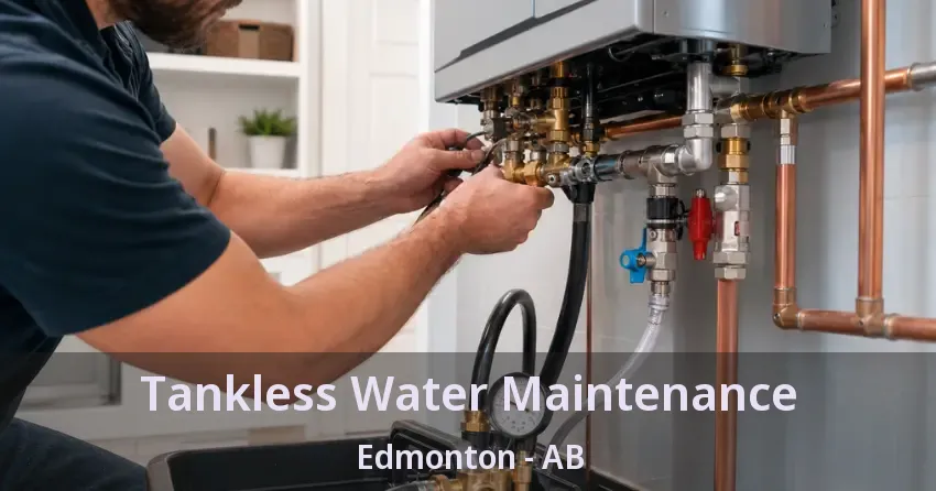 Tankless Water Maintenance Edmonton - AB